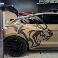 COYOTE DECAL