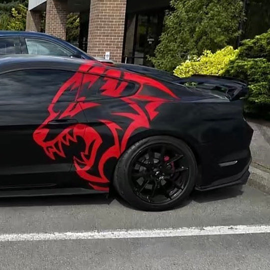 COYOTE DECAL